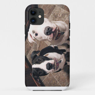süße Pitbull-Welpen Hunde Case-Mate iPhone Hülle