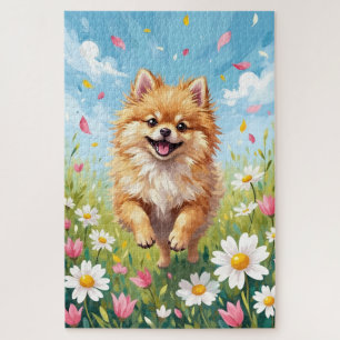 Süße Pomeranian-Frühlings-Gänseblümchen-Feld-Hund