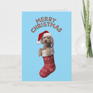 Süße Poodle-Weihnachtskarte Karte