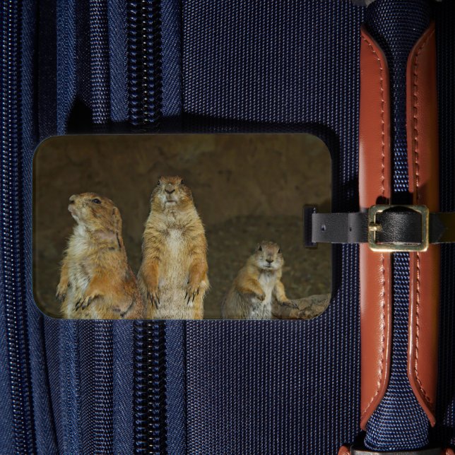 Süße Präriehunde Gepäckanhänger (Vorderseite Insitu 4)