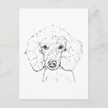 Süße Pudel-Hund-Illustration, handgezeichnet