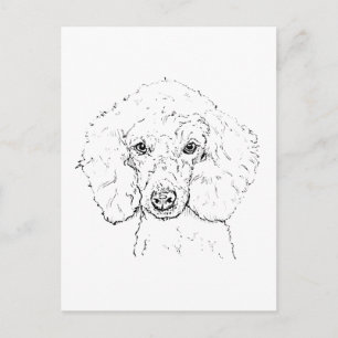 Süße Pudel-Hund-Illustration, handgezeichnet Postkarte