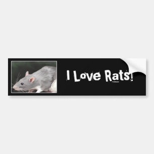 Süße Ratte Aufkleber Autoaufkleber
