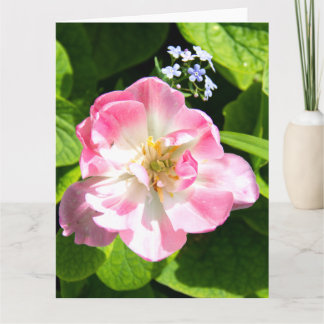 Süße rosa Tulpe Karte