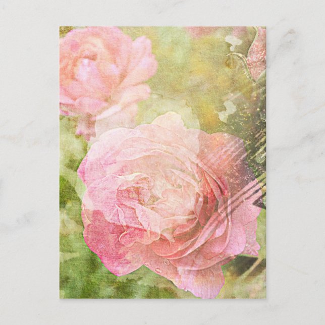 Süße Rose Postkarte (Vorderseite)