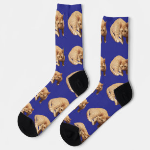 Süße rote Katze Foto-Muster Blau Socken