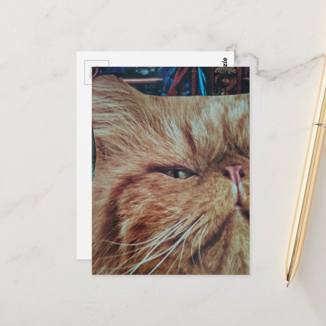 Süße rote Katzen Collage Postkarte (Vorderseite/Rückseite Beispiel)