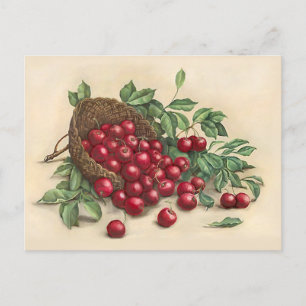 Süße rote Kirschen Postkarte