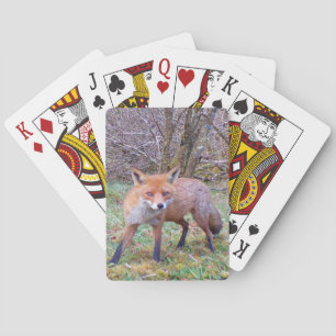 Süße Rotfuchs-Herbst-Natur inspirierte Familienkar Spielkarten