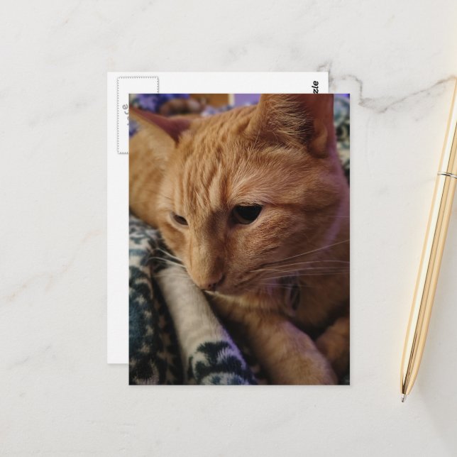 Süße schlafende Ginger-Katze Postkarte (Vorderseite/Rückseite Beispiel)