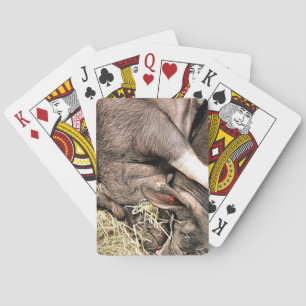 SÜSSE SCHLAFENDE SCHWEINE SPIELKARTEN