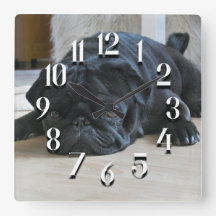 Süße schwarze Mops-Wanduhr