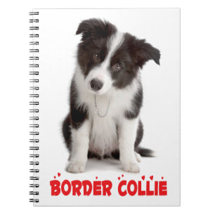 Süße schwarze weiße Border Collie-Mutter-Welpe-Hun Notizblock