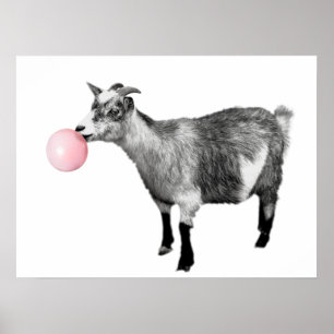 Süße schwarze weiße Ziege Bubble Gum Kinderzimmer  Poster