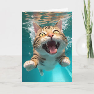 Süße schwimmende Katze taucht im Pool unter - Blan Karte
