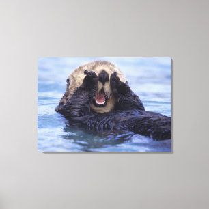 Süße Seeotter   Alaska, USA Leinwanddruck