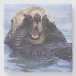 Süße Seeotter Alaska, USA Steinuntersetzer