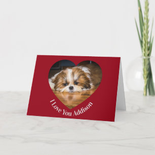 Süße Shih Tzu Liebe Valentinsherz Foto Karte