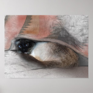Süße siamesische Katze unter einer Bettdecke Skizz Poster