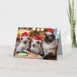 Süße siamesische Katze Weihnachtsplätzchenkarte Karte
