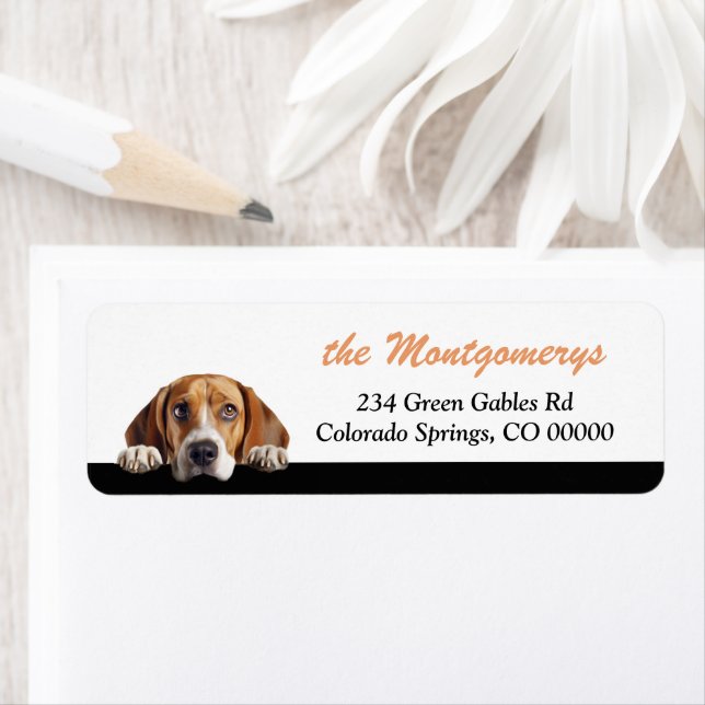 Süße spähende Beagle-Hund-Rücksendeadresse (Insitu)
