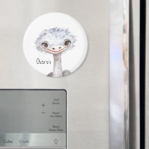Süße Straußentiere Magnet