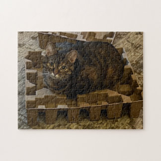 Süße Tabby-Katze in Vakuum-Einsatz-Box-Puzzle