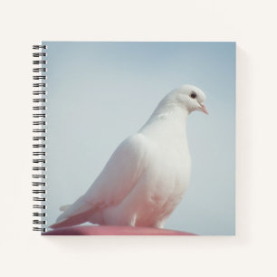 Süße Taube Weiße Taube Liebe & Frieden Symbol Voge Notizbuch