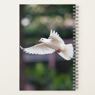 Süße Taube Weiße Taube Liebe-und-Frieden-Symbol Vo Notizbuch