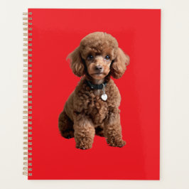  Süße Teacup-Poodle-Rotmappe Planer