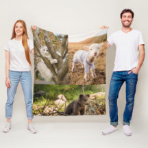 Süße Tierfotos-Decke