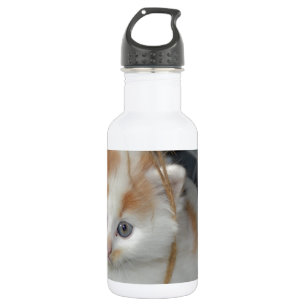 Süße Tierkätzchen Katzen Haustiere Trinkflasche