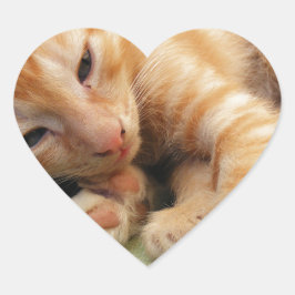 Süße Tigerstreifenkatze Herz-Aufkleber