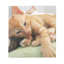 Süße Tigerstreifenkatze Notizblock