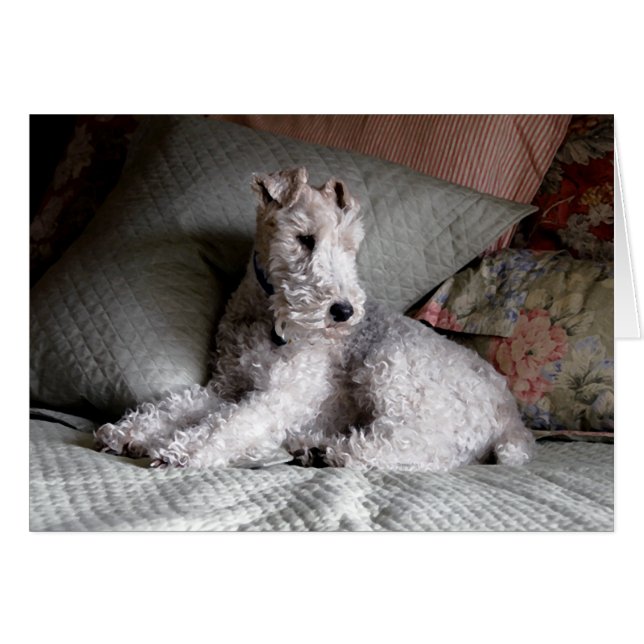 süße Träume (Vorderseite (Horizontal))