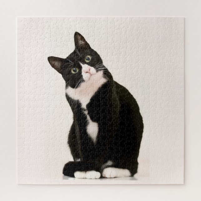 süße Tuxedo-Katze (Vertikal)