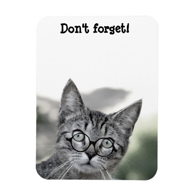 Süße überraschte Katze mit Brille Magnet (Vertikal)