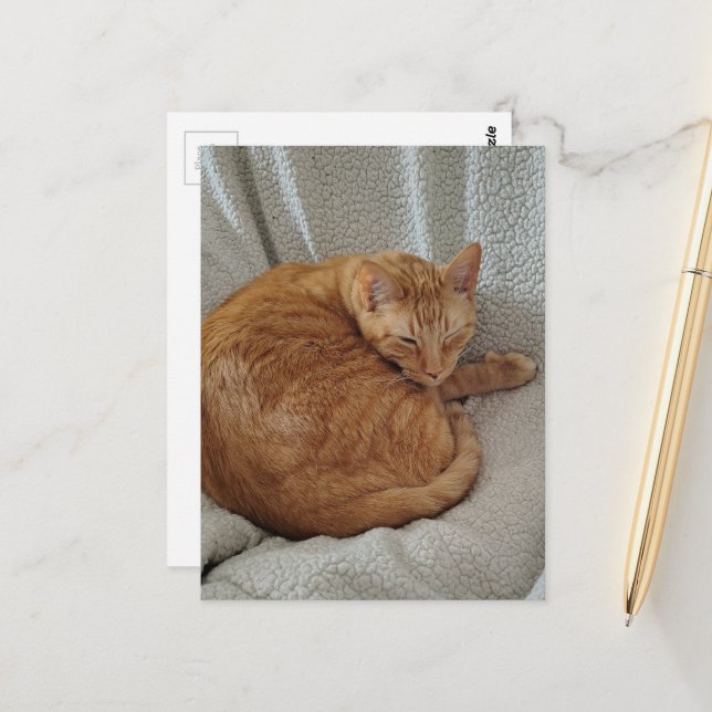 Süße verschlafene Ginger-Katze Postkarte (Vorderseite/Rückseite Beispiel)