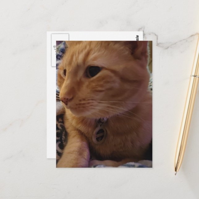 Süße verschlafene rote Katze Postkarte (Vorderseite/Rückseite Beispiel)