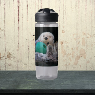 Süße verspielt Seeotter Foto Trinkflasche