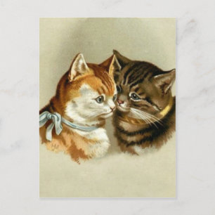 Süße Vintage-Katzen Postkarte