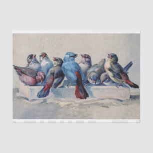 Süße Vögel mit blauen und roten Federn Aquarell Seidenpapier