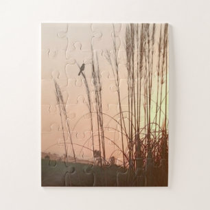 Süße Vogel-Puzzles in Portugal