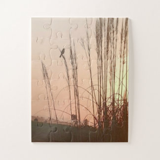 Süße Vogel-Puzzles in Portugal 