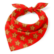 süße Weihnachts-Lebkuchen-Stern-Muster-Rot