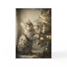 Süße Weihnachtskatze