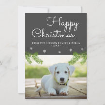 Süße Weihnachtskiefernzweige Schneeflocke Hund Fot