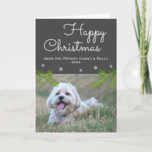 Süße Weihnachtskiefernzweige Schneeflocke Hund Fot