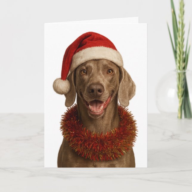 Süße Weimaraner Weihnachtskarte Karte (Vorderseite)
