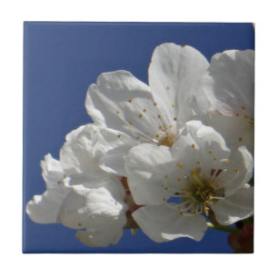 Süße weiße Blumen Fliese
